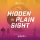 hidden-in-plain-sight-icon